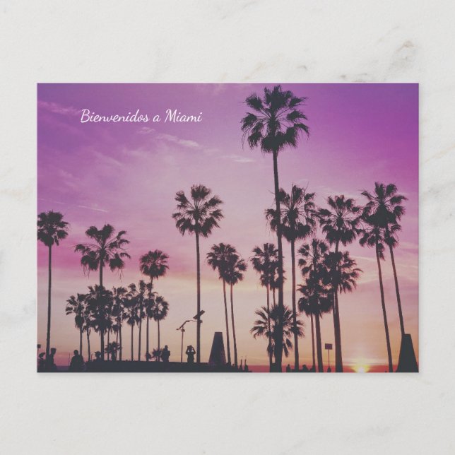 Cartão postal das Palmeiras de Miami (Frente)