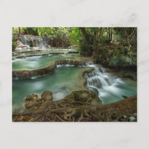Cartão Postal das Piscinas da Cachoeira da Florest