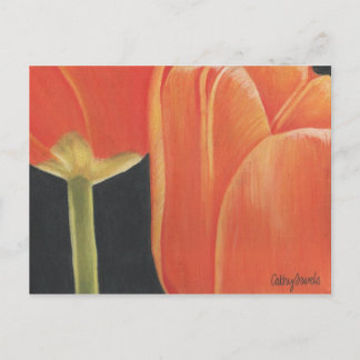 cartão postal das tulipas de laranja