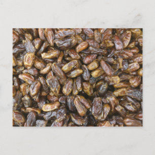 Cartão Postal Datas