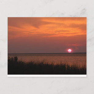 Cartão Postal Dauphin Island, AL Sunset