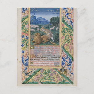 Cartão Postal David defendendo a ovelha do pai contra uma