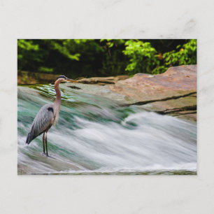 Cartão Postal David Fortier River Park, Olmsted Falls, Ohio