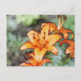 Cartão Postal Day Lily