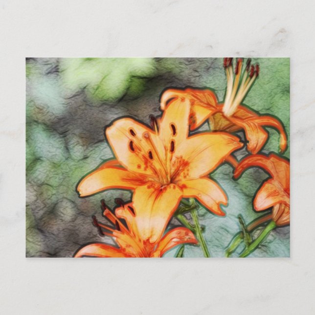 Cartão Postal Day Lily (Frente)