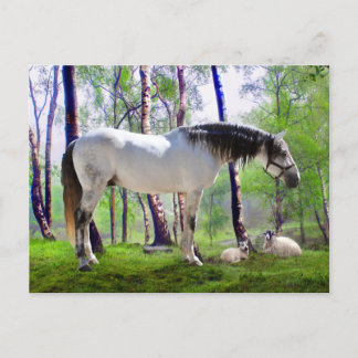 Cartão Postal Daybreak