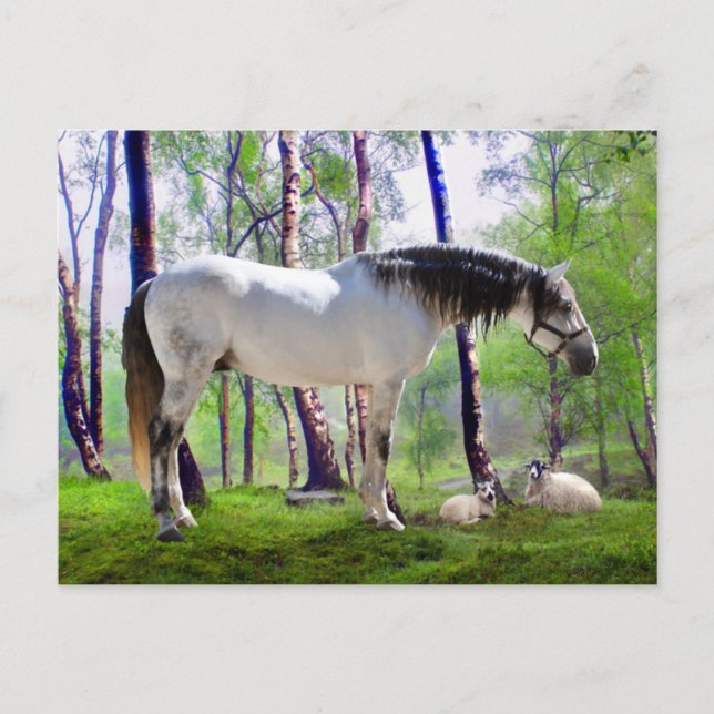 Cartão Postal Daybreak (Frente)