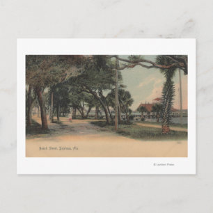 Cartão Postal Daytona, Flórida - View of Beach Street