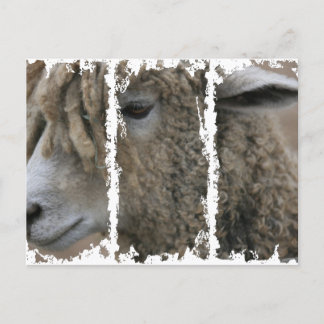 Cartão postal de 3 caixas sujas