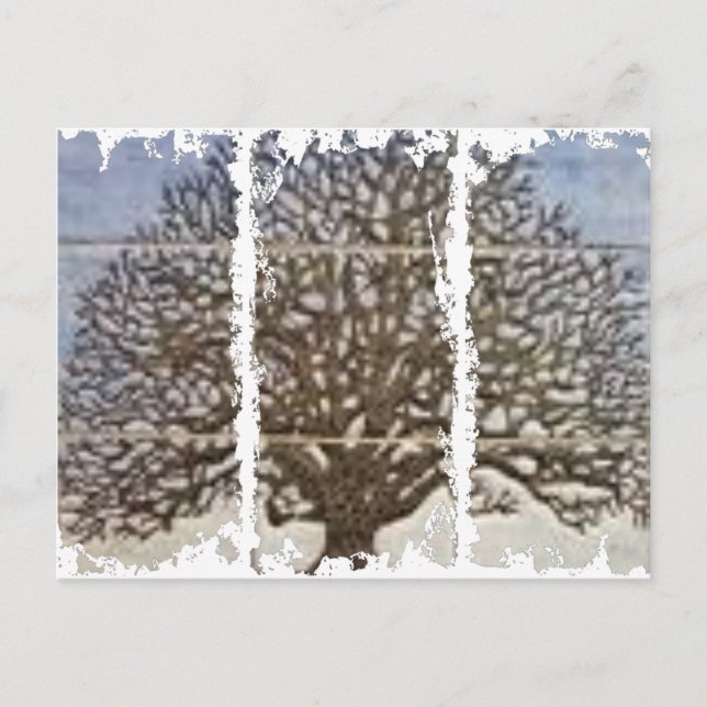 Cartão postal de 3 caixas sujas (Frente)