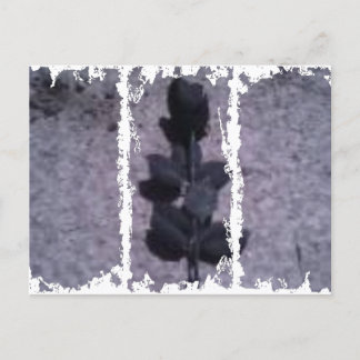 Cartão postal de 3 caixas sujas