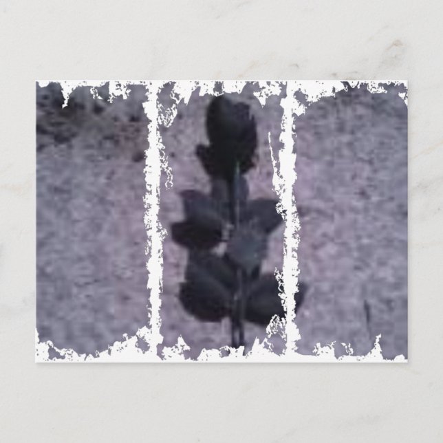 Cartão postal de 3 caixas sujas (Frente)