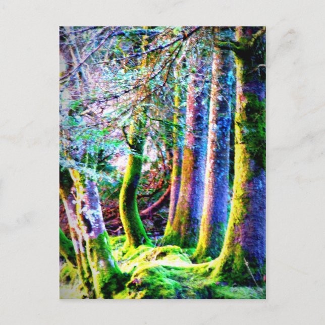 Cartão postal de Abstrato de arte florestal encant (Frente)