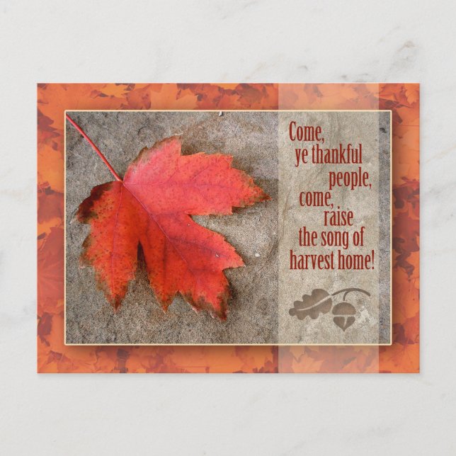Cartão postal de Ação de Graças (Frente)