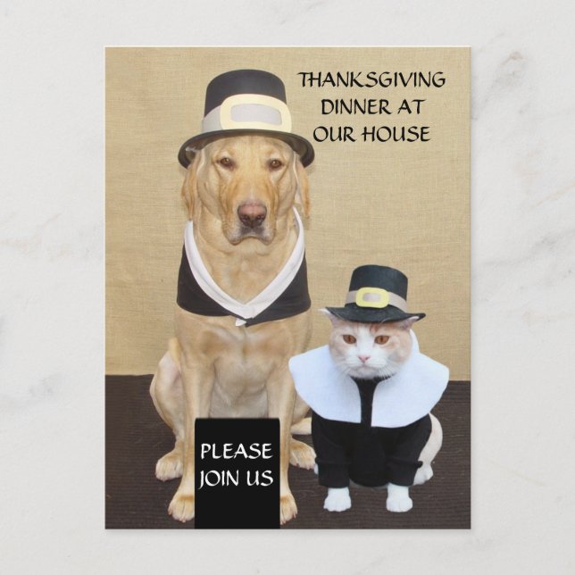 Cartão postal de Ação de Graças/Convite (Frente)
