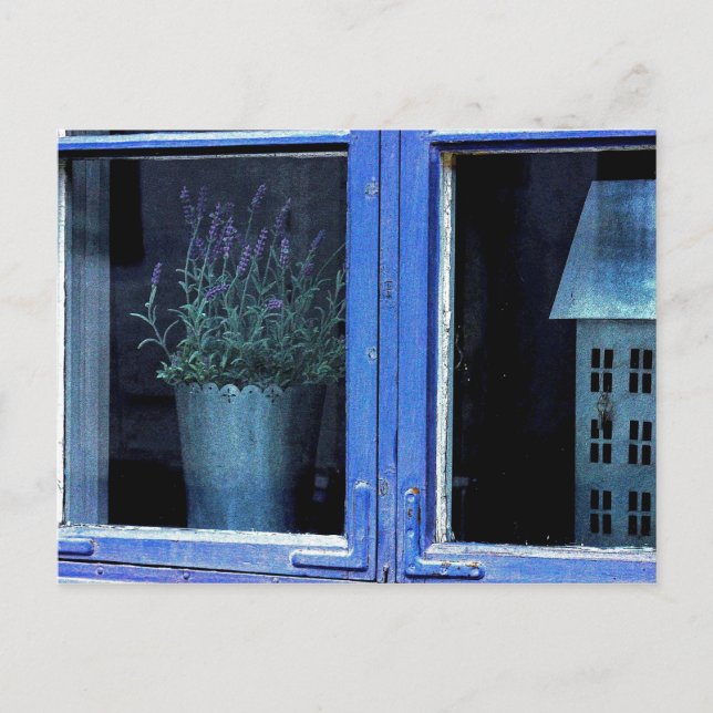 Cartão postal de Algodão do Chique lavanda (Frente)