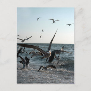 Cartão postal de alimentação francês