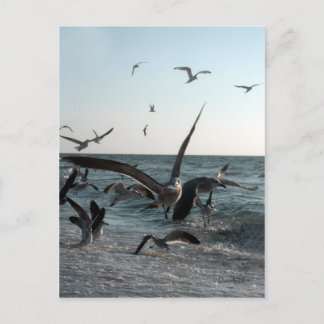 Cartão postal de alimentação francês