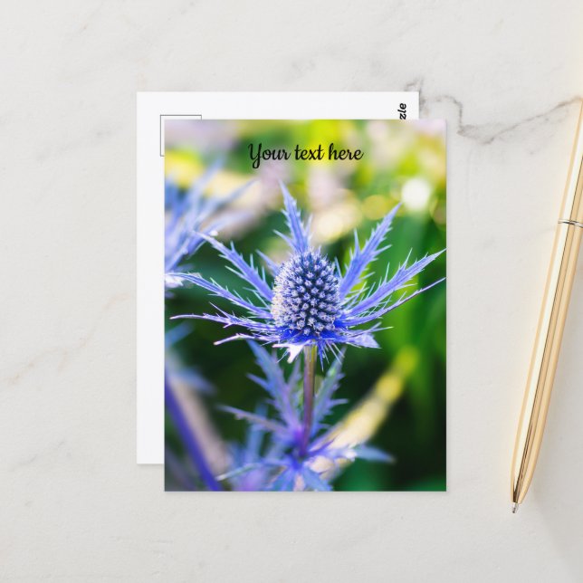 Cartão Postal de Alpen Mannstreu (Frente/Verso In Situ)