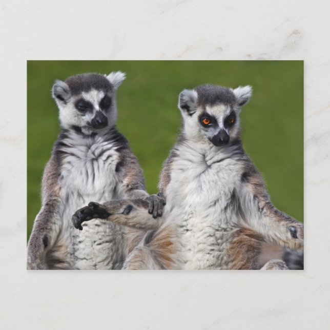 Cartão postal de amigos (Frente)