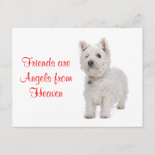Cartão postal de amigos do cão Terrier West Highla