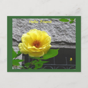 CARTÃO POSTAL DE AMIZADE ROSA AMARELA