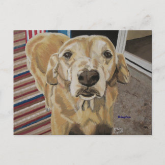 Cartão postal de amor e lealdade