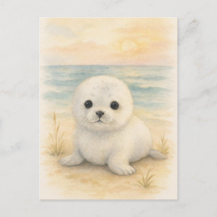 Cartão postal de animais selvagens bebê foca jovem