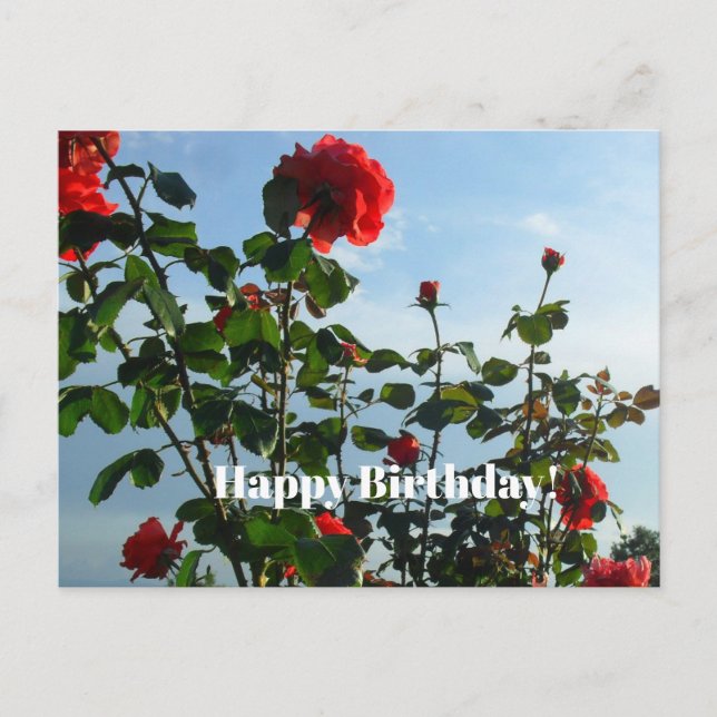 Cartão postal de aniversário (Frente)