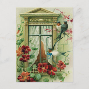 Cartão Postal de Aniversário Antigo