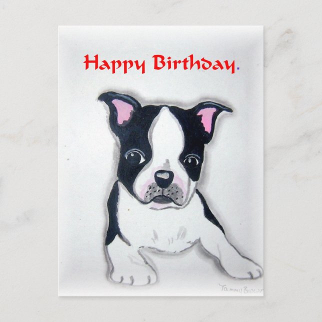 Cartão postal de aniversário de Boston Terrier (Frente)