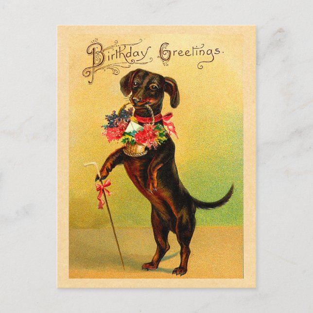 Cartão postal de aniversário de Dachshund (Frente)