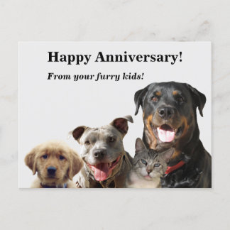Cartão postal de aniversário de Pets adoráveis