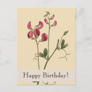 Cartão postal de aniversário de plantas botânicas