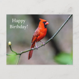 Cartão postal de aniversário feliz