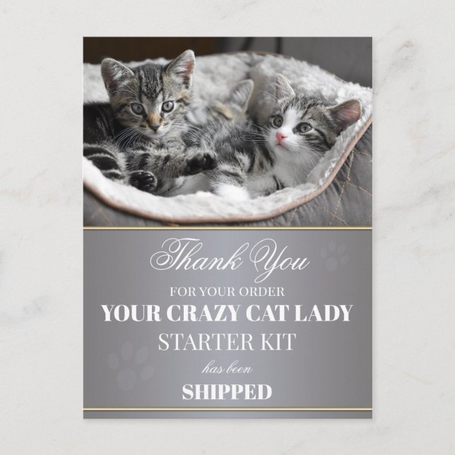 Cartão postal de aniversário para Kittens Engraçad (Frente)