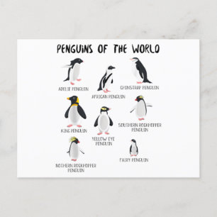 Cartão Postal De Anúncio 8 Pinguins Mais Raios do Mundo - Animais Engraçado