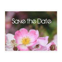 adorável casamento de rosa selvagem rosa, salvar a