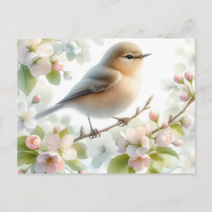 Cartão Postal De Anúncio Água-forte Floral de Cerejeira em Flor na Primaver