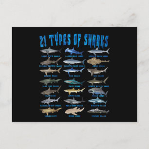 Cartão Postal De Anúncio Amantes de Tubarão 21 Tipos de Tubarões Animal Mar