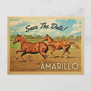 Cartão Postal De Anúncio Amarillo Texas Salve a Data Cavalos