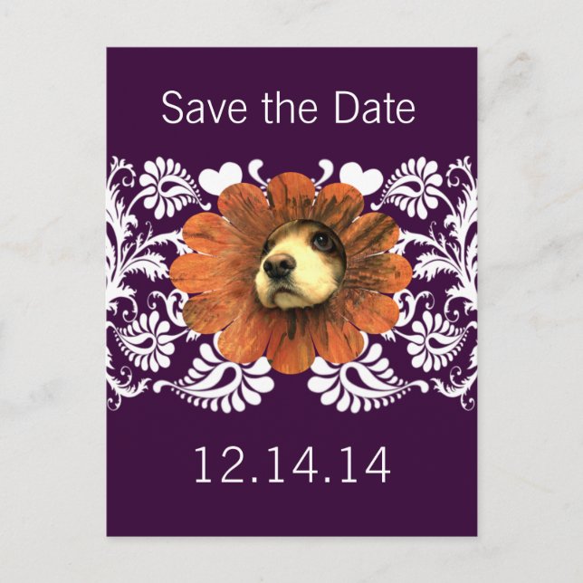 Cartão Postal De Anúncio Amor de Cachorrinho Espiando de uma Flor (Frente)