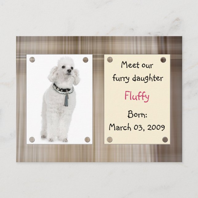 Cartão Postal De Anúncio Animais de estimação novos da reunião (Frente)