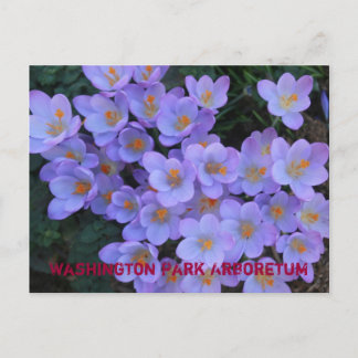 Cartão Postal De Anúncio Arboreto do parque de Washington
