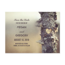 árvore antiga rústica salvar a data