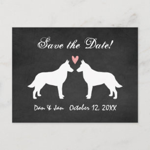 Cartão Postal De Anúncio Belgian Malinois Quadro de Giz Casamento Salve a D