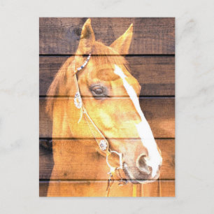 Cartão Postal De Anúncio Belíssimo Quadro de Madeira Rústica de Cavalo