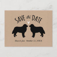 Bernese Mountain Dogs Casamento Salve a Data