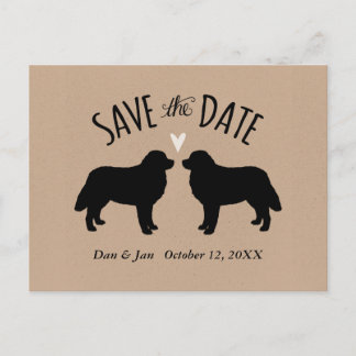 Cartão Postal De Anúncio Bernese Mountain Dogs Casamento Salve a Data