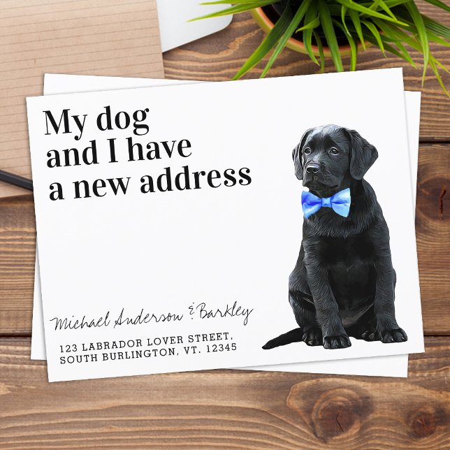 Cartão Postal De Anúncio Black Lab Mudamos Novo Endereço Mudança de Cachorr (Criador carregado)